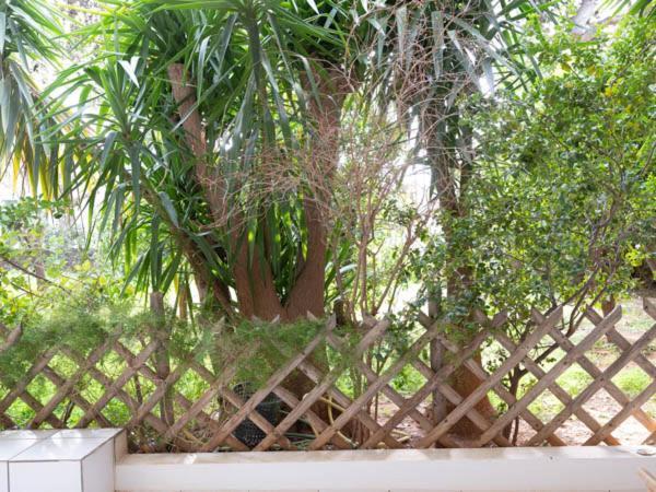 Apartmán Vouliagmeni'S Secret Garden Near The Sea Atény Exteriér fotografie